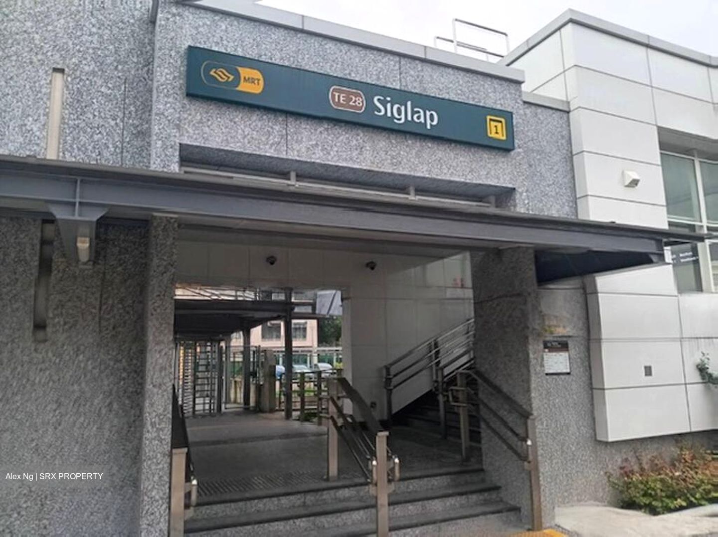 Fame Court (D15), Terrace #502990041